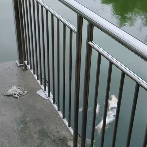 网格员的日常