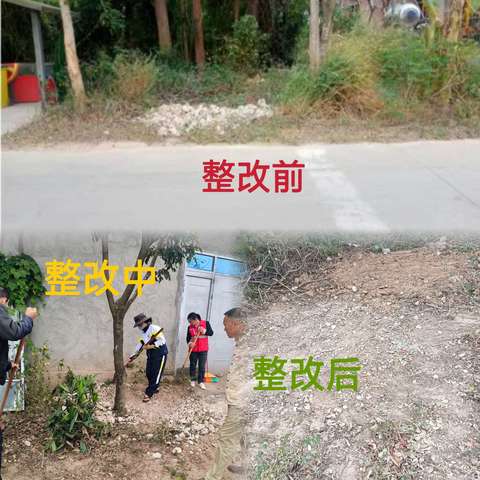 三家镇乐安村开展人居环境卫生整治工作