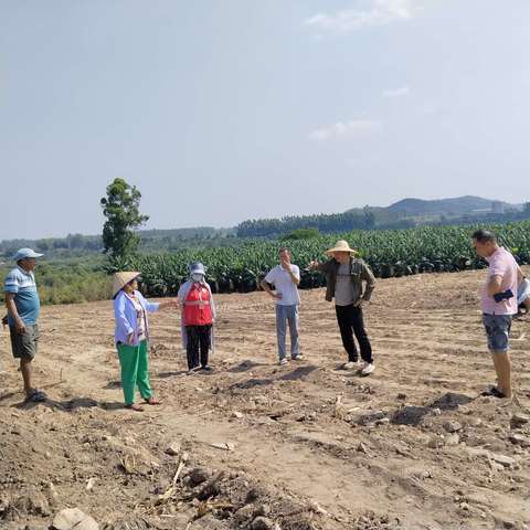 土地纠纷巧化解，和谐乡村共守护