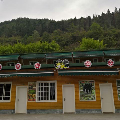 巜春季合唱团》新学期首次户外教学活动花絮