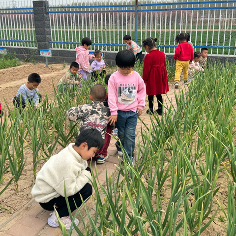 祝阿镇中心幼儿园中二班一周活动纪实