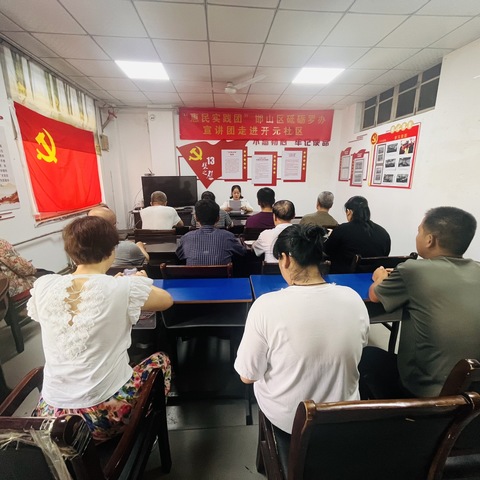 罗城头街道开元社区开展“十三号之声”主题党日活动