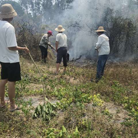 清明护林救火，我们在行动