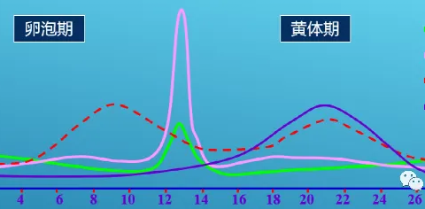 子宫内膜太薄影响怀孕？