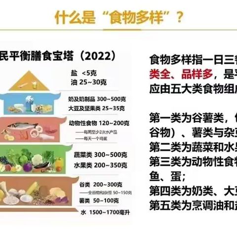 全国学生营养日 知营养 会运动 防肥胖 促健康