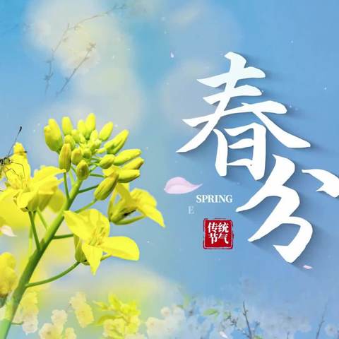 【EH新区十二幼】可爱贝贝班精彩周分享