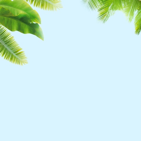 宣化五中2025年暑假致家长 一封信