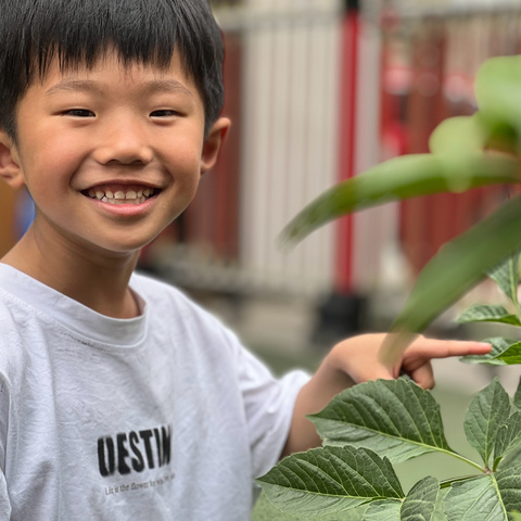 金种子幼儿园大四班5月份美篇