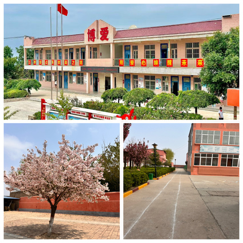洁净校园焕新颜 文明习惯润童心——北塬中心校开展校园卫生大扫除活动
