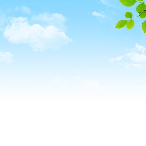 “震”有备  护童行 2025年春季学期诚实幼儿园防震应急疏散演练