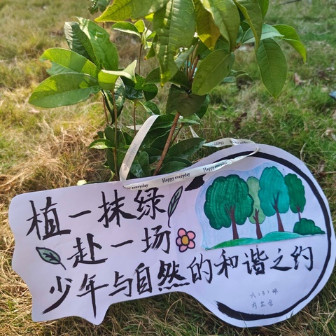 种一颗小树 润一方净土——赣州市白云小学3.12植树节志愿服务活动