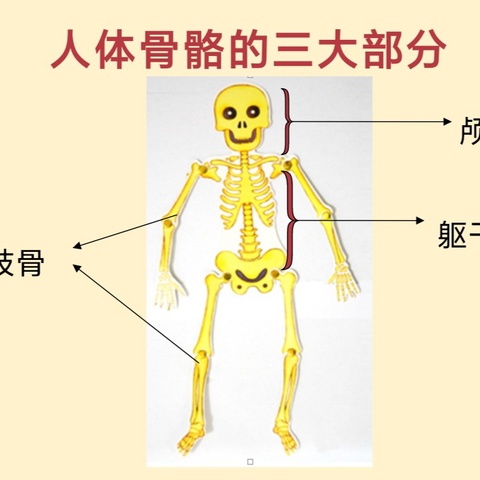 你有我也有·黄陵小学一年三班