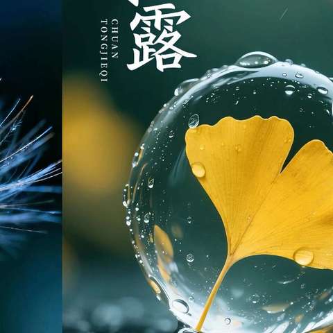 24节气寒露 _新兴卫生院宣