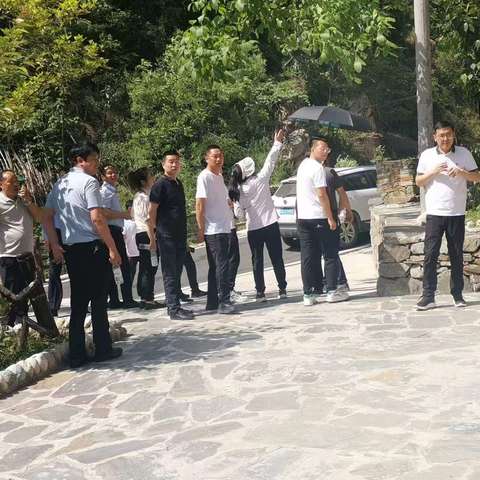 镇安县各乡镇村代表观摩学习小木岭民宿康养模式