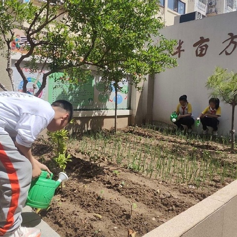 以劳树德  以动润心 —济宁市琵琶山中心小学五一劳动周实践活动纪实
