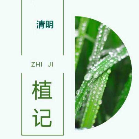 清明植记--- 临西一中七1部实践活动