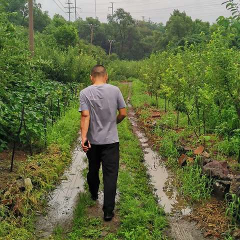 开展防汛检查，落实防汛责任