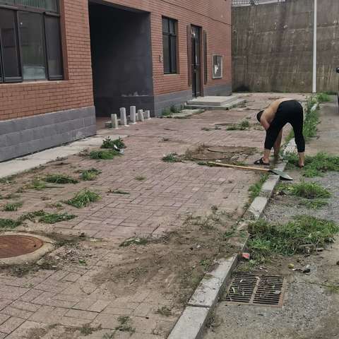 碾盘乡元龙村学雷锋义务劳动