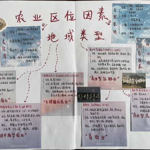 2026届高一3、5、10、11班农业区位因素和地域类型优秀作品风采