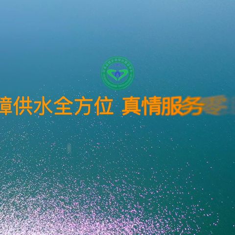 保障供水全方位，真情服务零距离。