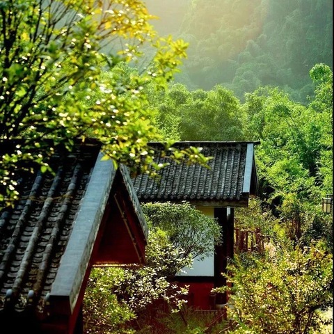 聚焦教材析内涵 深耕教研促成长 ——马投涧镇教育集团三年级语文教研活动纪实