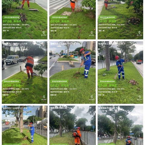 西南片区（新和社区） 周报 (8月2日)