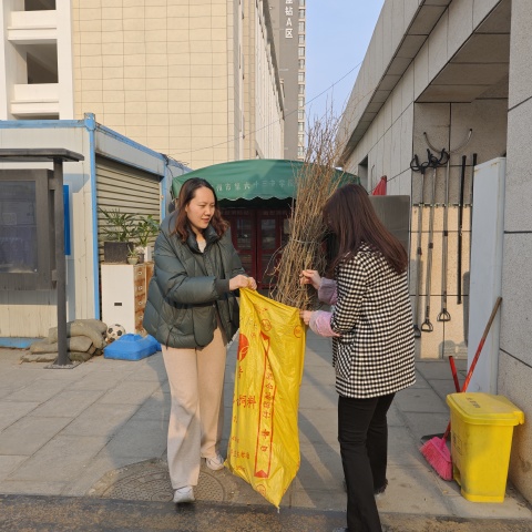 播种希望，筑梦绿色未来—郑州63中开展植树节劳动教育活动