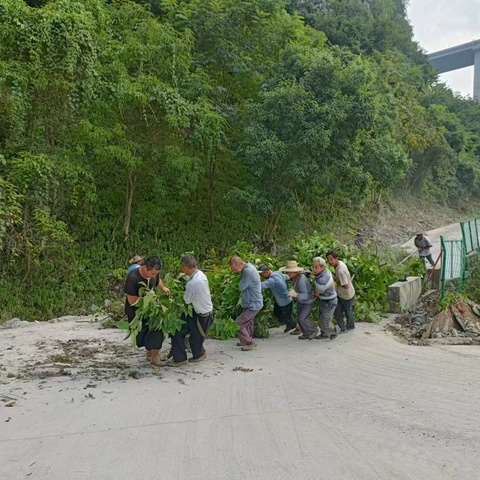 王寨镇土璜村:凝聚群众力量·共建和美乡村