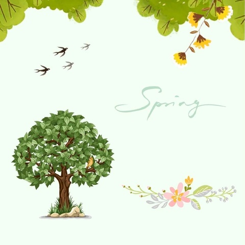 爱鸟于心  护鸟于行