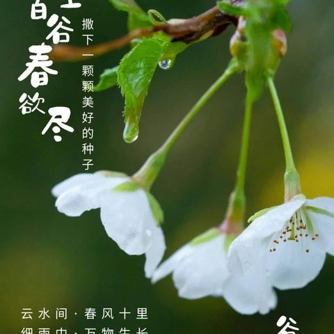 “雨生谷雨，时值暮春”——马村镇南陆幼儿园谷雨活动