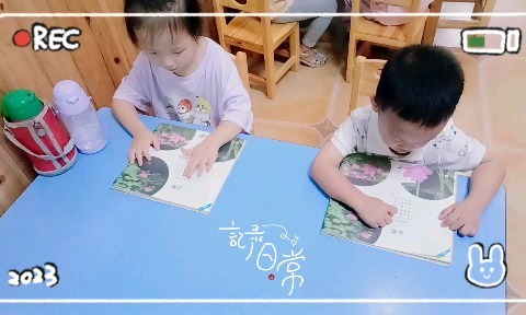 紫荆幼儿园中班周记