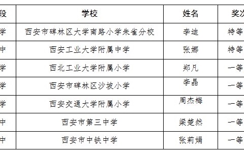 【碑林教育·喜报】栉风沐雨勤研究 扎根课堂结硕果——我区教师在西安市第二届信息技术教学大赛中喜获佳绩