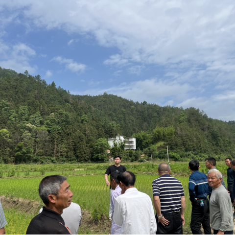 里泗村春耕生产流动现场会