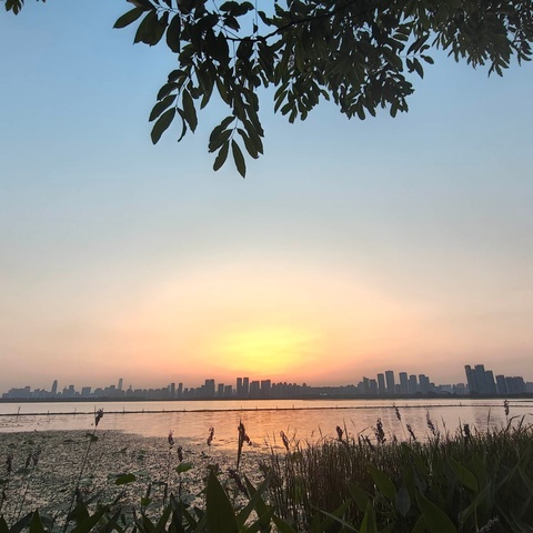 巴林特小组能带给你什么？