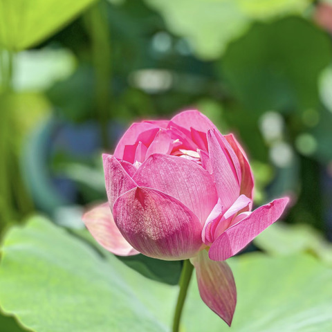 嘉定支行举办“嘉味匠心，童心筑梦”暑期亲子活动