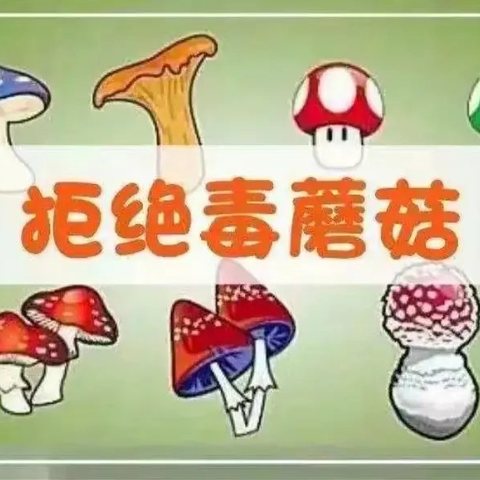 远离毒蘑菇   不做“菇勇者”