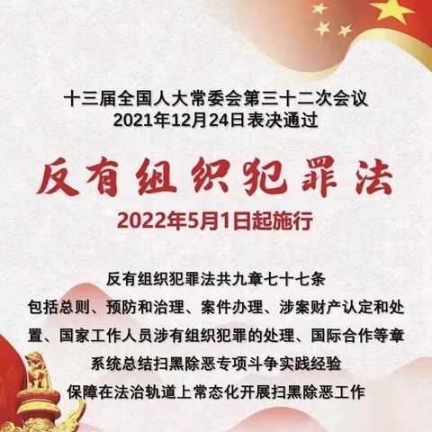 《反有组织犯罪法》