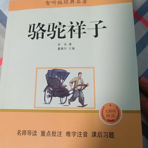 【智慧阅读.点亮人生】洋县实验魅力小学 竹梦班李刘澄读书分享第5期《骆驼祥子》第一章