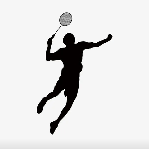 《盯住了！它在那！🏸》——湛江市第十七小学羽毛球班_24年上半年