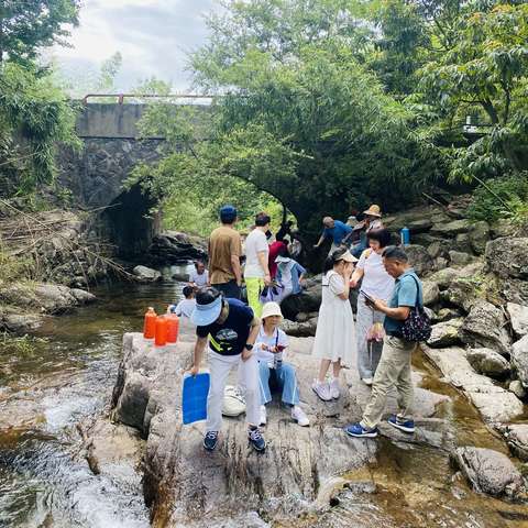 夏日里的天然氧吧