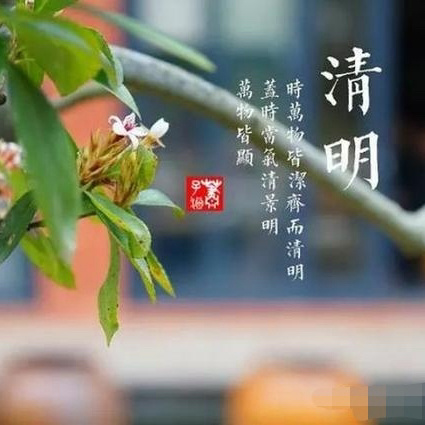 我们的节日·清明 ——南乐县西湖小学清明节主题活动