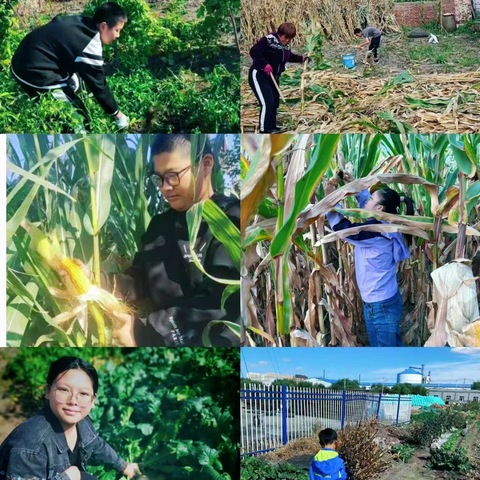 我为祖国妈妈做件事——中兴小学“享秋收之喜 行劳动之乐”劳动实践活动