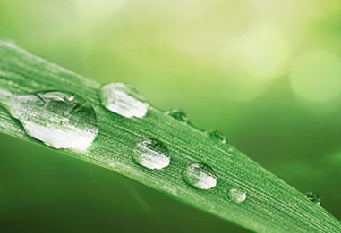 “雨”你相遇 细“水”长流——信远福源幼儿园雨水节气主题系列活动