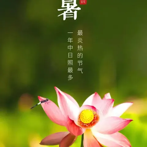 大暑至，夏正浓——五（6）班二十四节气之大暑综合实践活动