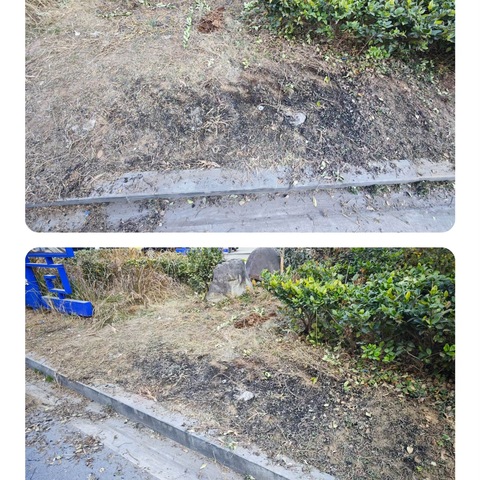 【以案说法】未履行养护管理义务造成绿地损害，一环境服务公司受处罚