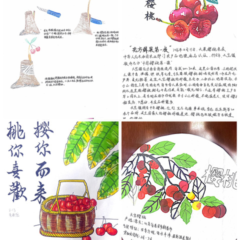 蛇舞新春  梦启开元——八年级地理趣味实践作业