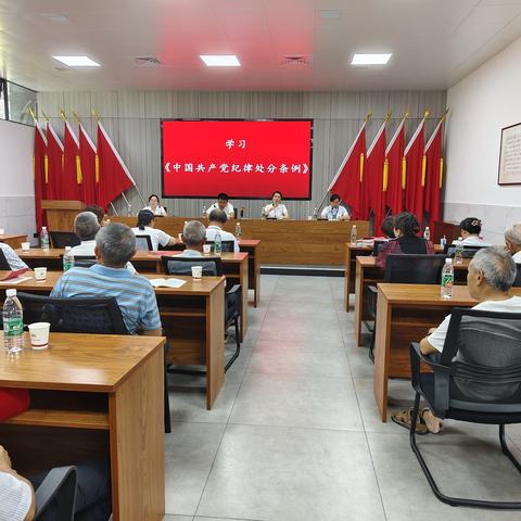 “学纪律 明规矩 守廉洁”——鸬鹚渡镇梅山村党总支开展党纪学习教育专题活动