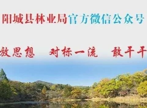 山西省林草局党组书记、局长袁同锁莅临我县视察指导