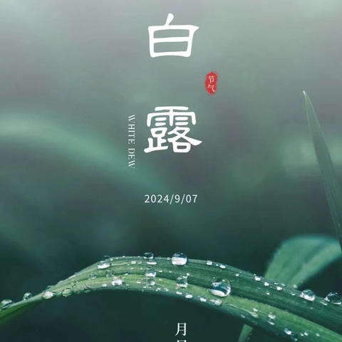 二十四节气——白露秋意渐浓，露珠凝白