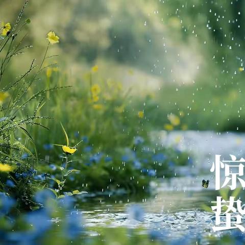 惊蛰——春雷初响，莺歌燕舞